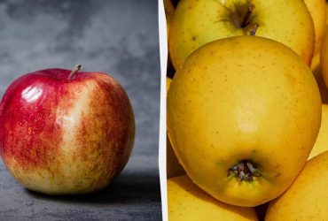 Идеальный выбор для выпечки: два фермера назвали лучший сорт яблок
