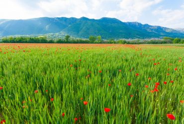 Два міста Шовкового шляху перевернули уявлення про історію Центральної Азії, - вчені