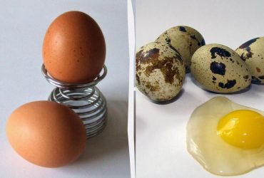 Перепелині чи курячі яйця: дієтологи дали несподівану відповідь