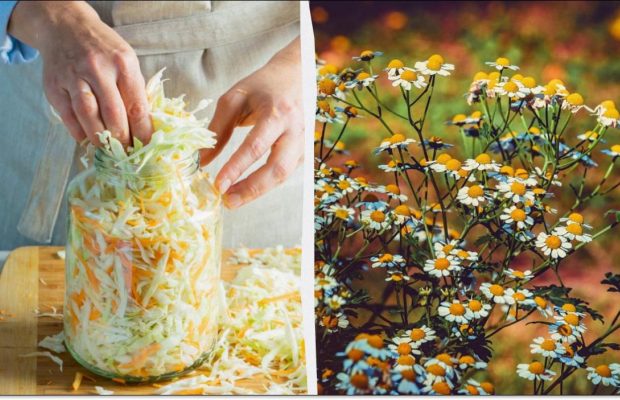 Четыре обязательных запрета: что нельзя делать в народный праздник 8 октября