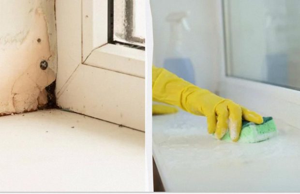 Лише одна ложка цієї рідини відбілить підвіконня за 15 хвилин: її потрібно додати у воду
