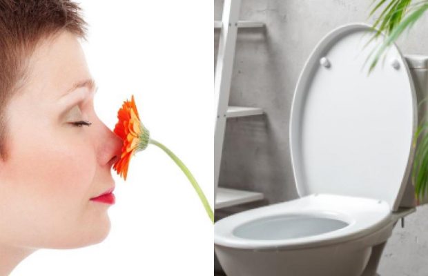 Потрібно покласти це в бачок унітазу: в туалеті завжди пахнутиме свіжістю