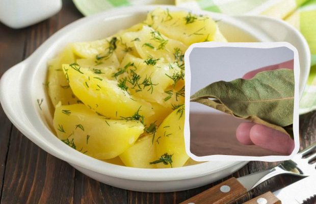Не в начале и не в конце: когда лучше всего солить картошку при варке