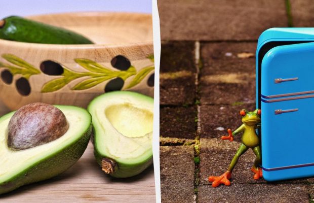 Как держать авокадо в холодильнике, чтобы фрукт хранился дольше: эксперт назвал 2 способа