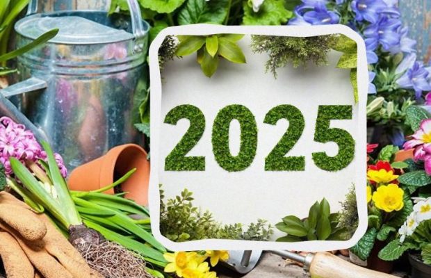 Посівний календар на весь 2025 рік: таблиця родючих днів