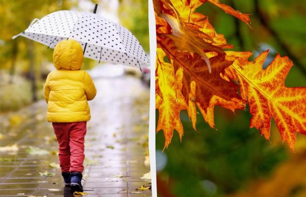 Что можно и нельзя делать 1 ноября: как привлечь счастье в дом