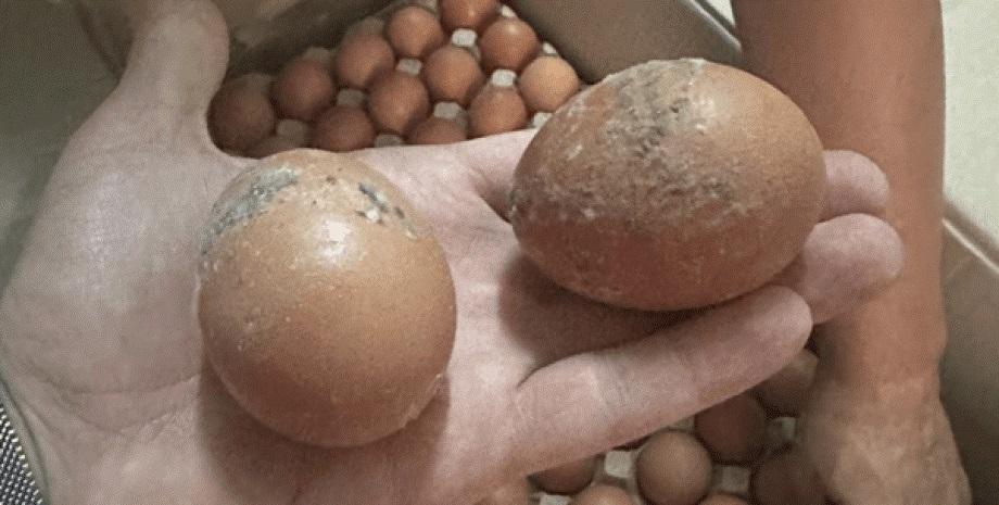 ДОТ не може і не хоче: військовий обурився низькою якістю харчів на фронті ДОТ не може і не хоче: військовий обурився низькою якістю харчів на фронті