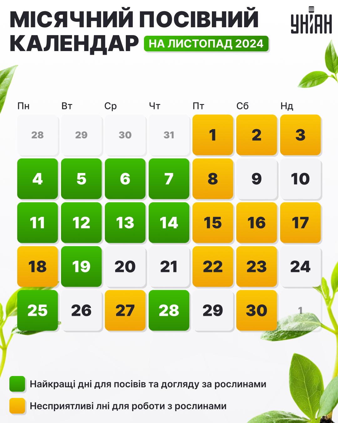 Посівний календар на листопад 2024 таблиця / картинка УНІАН Посівний календар на листопад 2024 таблиця / картинка УНІАН