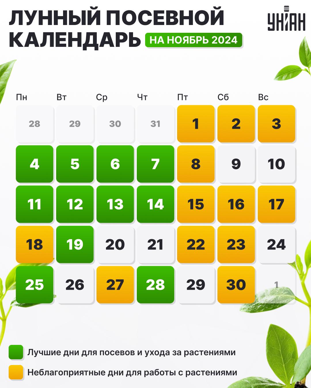 Посевной календарь на ноябрь 2024 таблица / картинка УНИАН Посевной календарь на ноябрь 2024 таблица / картинка УНИАН