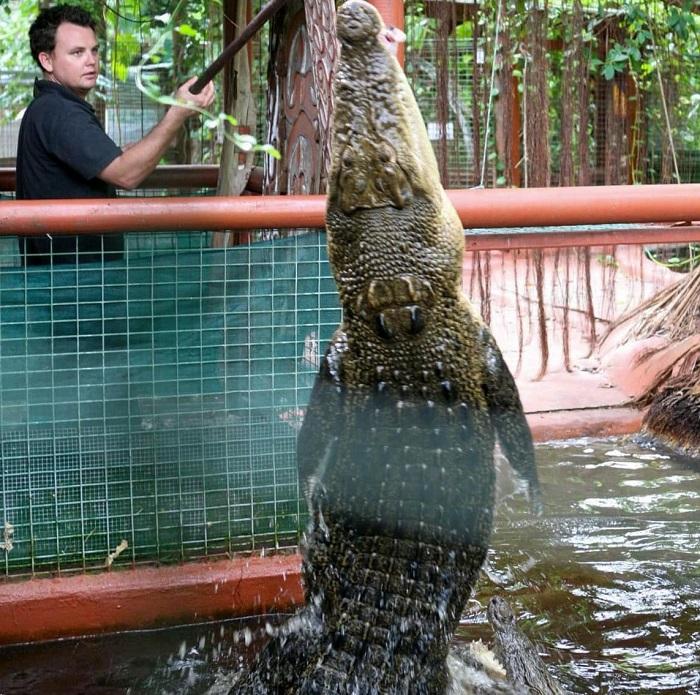 фейсбук Marineland Melanesia Crocodile Habitat & Gift Shop фейсбук Marineland Melanesia Crocodile Habitat & Gift Shop