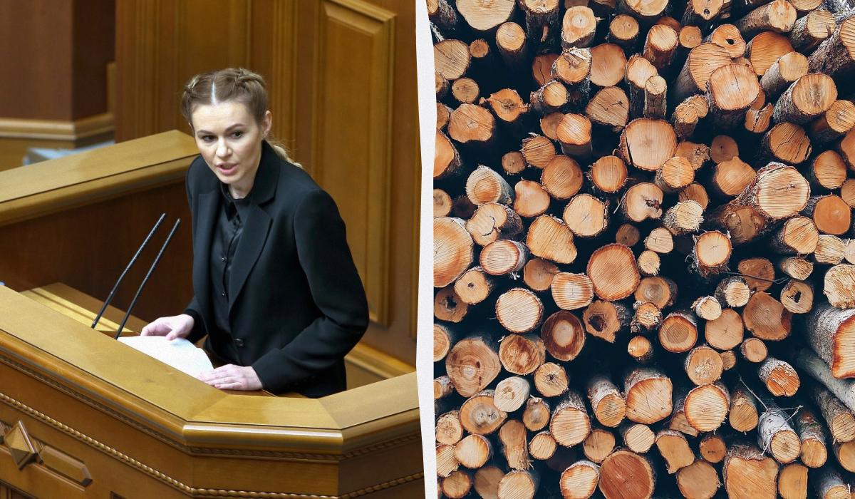 Анна Скороход высказалась о штрафах для украинцев за дрова / коллаж с фото УНИАН и pixabay.com Анна Скороход высказалась о штрафах для украинцев за дрова / коллаж с фото УНИАН и pixabay.com
