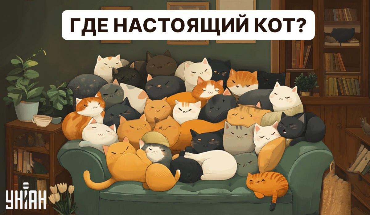Найдите настоящего кота среди игрушек / коллаж УНИАН