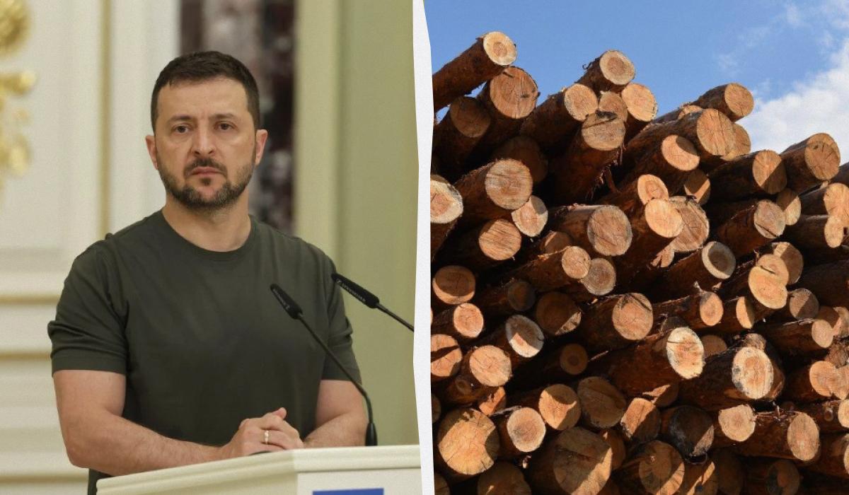 В ОП прокомментировали "закон о дровах" / Коллаж УНИАН / фото УНИАН В ОП прокомментировали "закон о дровах" / Коллаж УНИАН / фото УНИАН