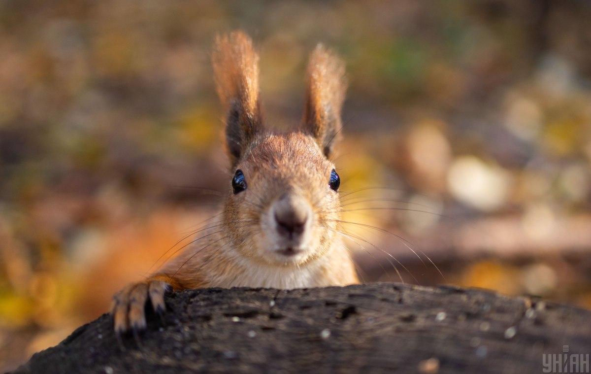 3 фото УНИАН 3 фото УНИАН