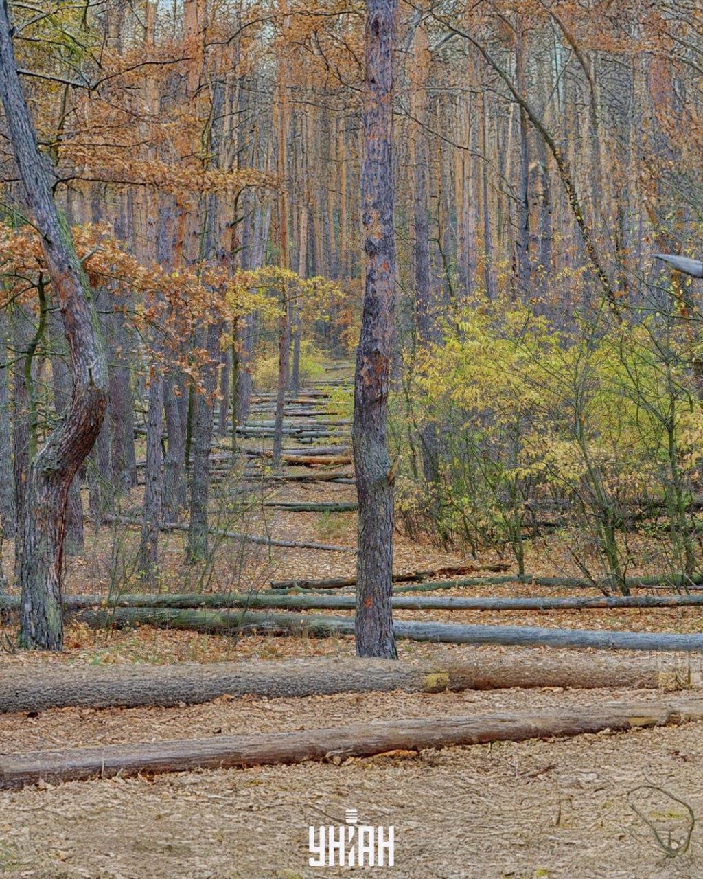 фото УНІАН, Фалін Володимир фото УНІАН, Фалін Володимир