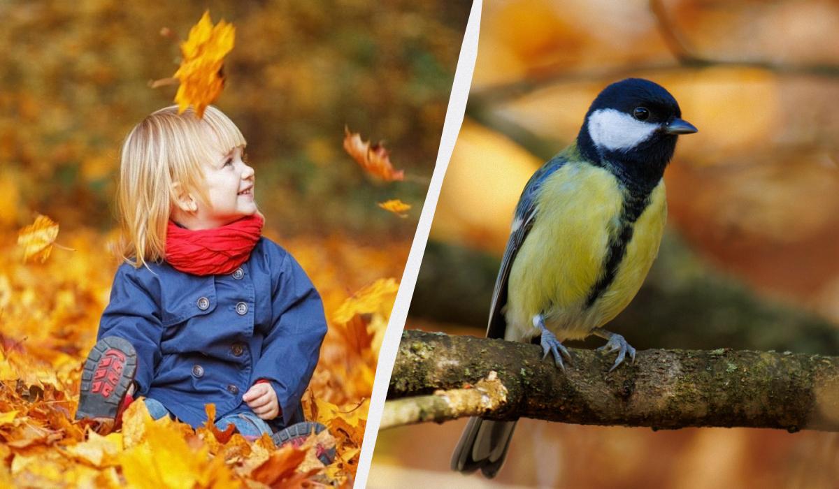 Яке сьогодні свято в Україні / колаж УНІАН, фото ua.depositphotos.com, pixabay Яке сьогодні свято в Україні / колаж УНІАН, фото ua.depositphotos.com, pixabay