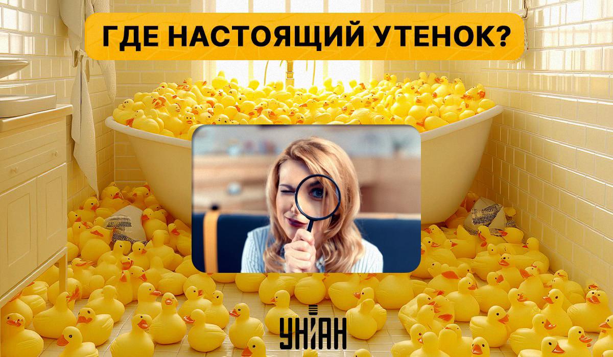 Найдите настоящего утенка среди кучи резиновых утят / коллаж УНИАН, фото ua.depositphotos.com Найдите настоящего утенка среди кучи резиновых утят / коллаж УНИАН, фото ua.depositphotos.com