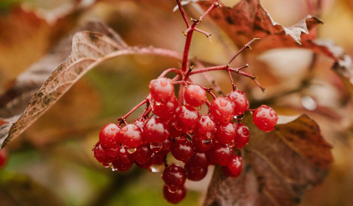 какой сегодня праздник какой сегодня праздник