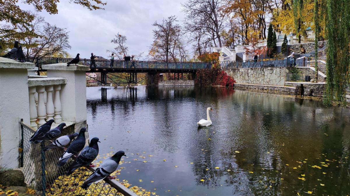 Лебедине озеро в Кам'янець-Подільську / фото Марина Григоренко