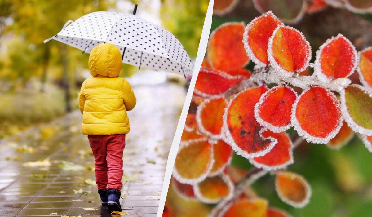 Какой сегодня праздник в Украине / коллаж УНИАН, фото ua.depositphotos.com, pixabay Какой сегодня праздник в Украине / коллаж УНИАН, фото ua.depositphotos.com, pixabay