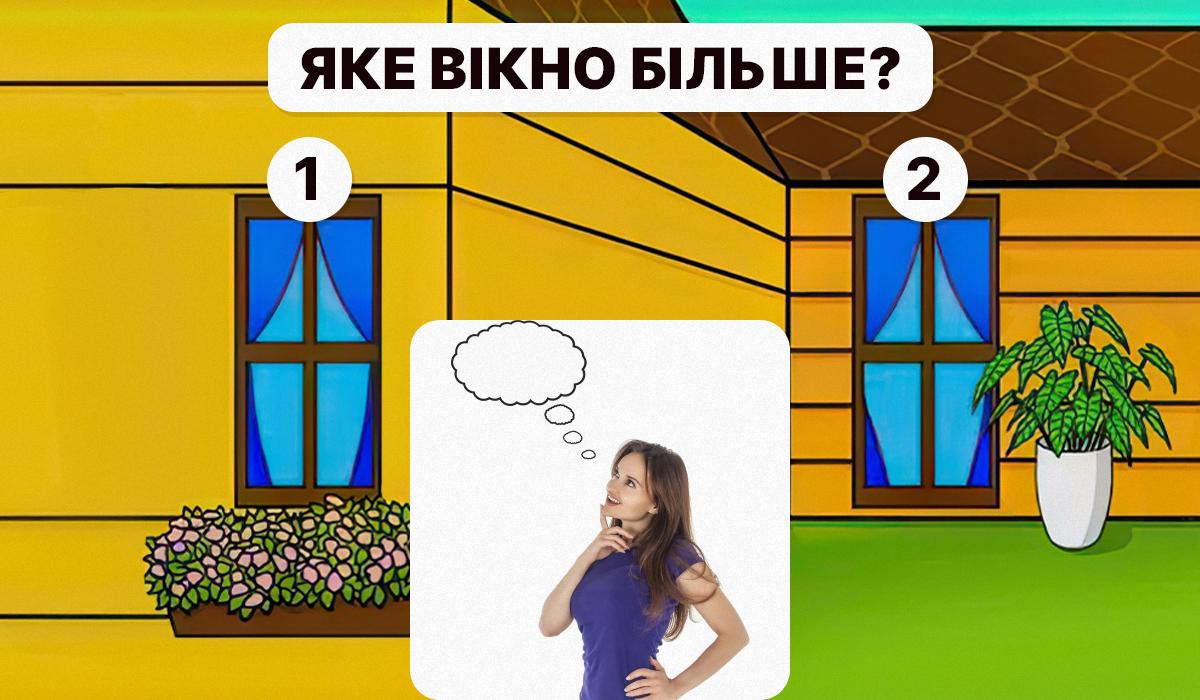 Слід вчасно зрозуміти, яке вікно більше / колаж з фото УНІАН та pixabay.com Слід вчасно зрозуміти, яке вікно більше / колаж з фото УНІАН та pixabay.com