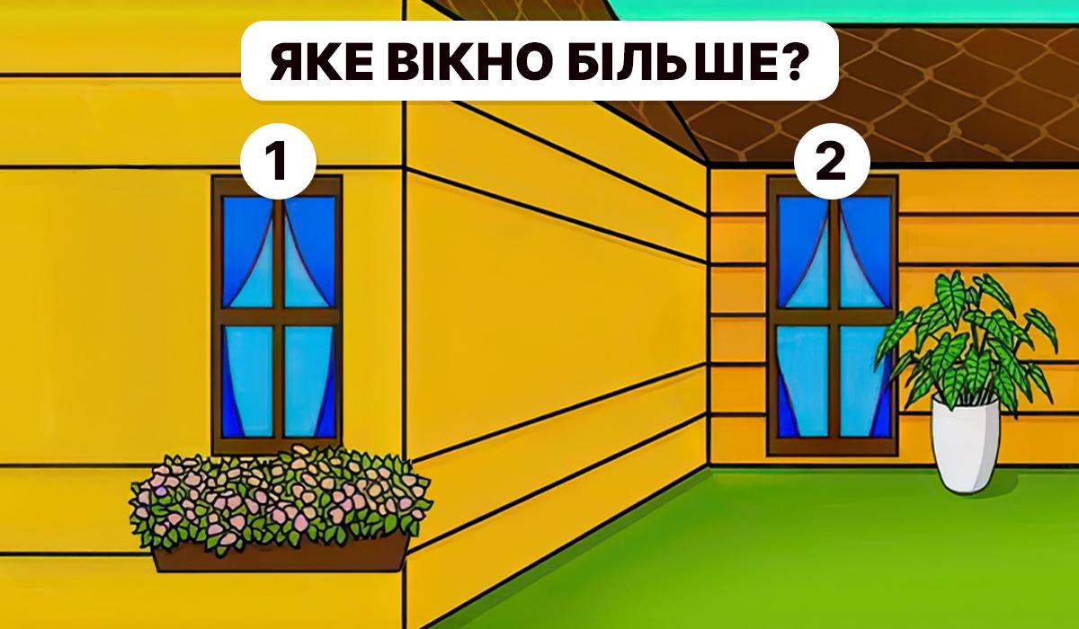 Треба зрозуміти, яке з вікон більше / колаж УНІАН Треба зрозуміти, яке з вікон більше / колаж УНІАН