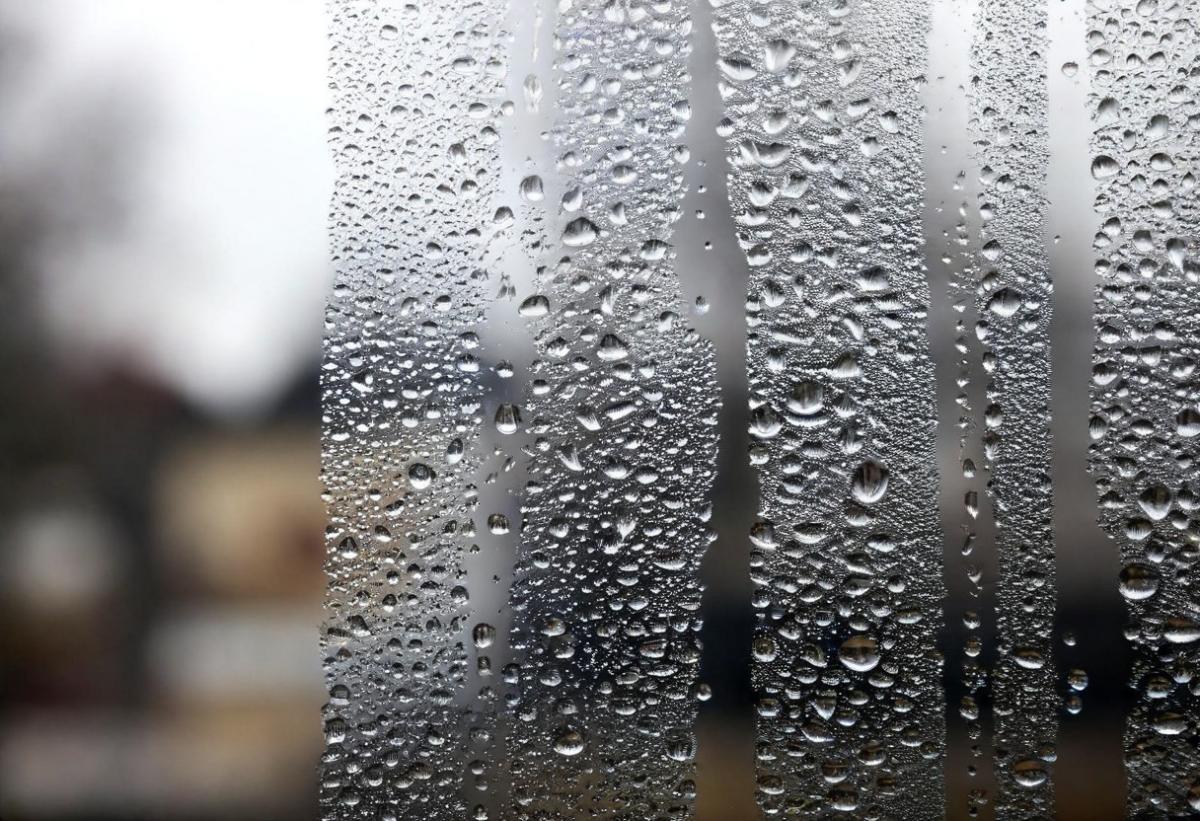 Що зробити щоб не було конденсатуфото ua.depositphotos.com Що зробити щоб не було конденсатуфото ua.depositphotos.com