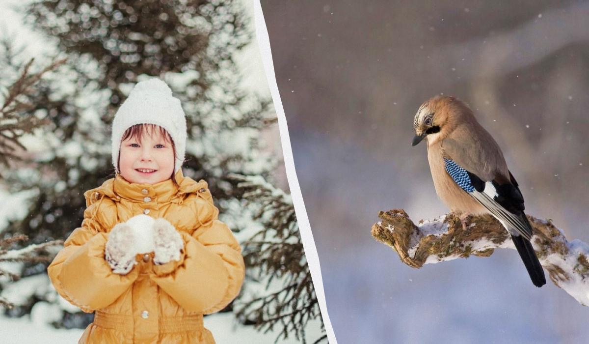Яке сьогодні свято в Україні / колаж УНІАН, фото ua.depositphotos.com, pixabay Яке сьогодні свято в Україні / колаж УНІАН, фото ua.depositphotos.com, pixabay
