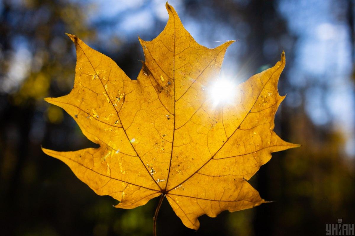 Пофото УНІАН Пофото УНІАН