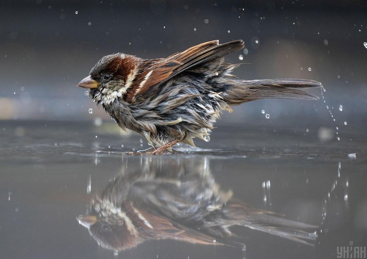 Циклон Doreena изменит погоду в Украине 3 марта, - синоптик Диденко