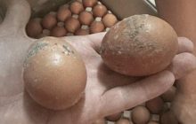 ДОТ не может и не хочет: военный возмутился низким качеством продуктов на фронте