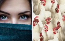 Треба мати гострий розум, щоб побачити орла серед курей та півнів за 5 секунд: хитра головоломка