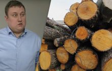 Українцям загрожує штраф за зберігання дров без документів: адвокат пояснив деталі