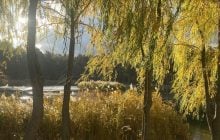 Сегодня в Киеве будет один из самых теплых дней недели