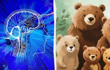 Надо найти фальшивого медведя за 5 секунд: очень простой тест для проверки IQ