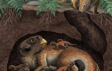 Скам'янілості динозаврів, що найбільше збереглися у світі, були врятовані дощем, - дослідження