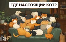 Надо найти настоящего кота за 5 секунд: очень простой тест для проверки IQ