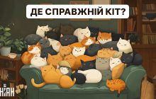 Треба знайти справжнього кота за 5 секунд: дуже простий тест для перевірки IQ