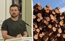 У Зеленского отреагировали на скандальный "закон о дровах"
