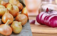 Як правильно зберігати цибулю: поради від експертів, які дадуть змогу збільшити термін придатності