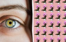 Треба знайти дивну орхідею серед сотні інших за 9 секунд: захоплива оптична ілюзія