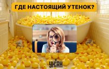 Надо найти настоящего утенка среди сотни игрушек за 5 секунд: сложная головоломка