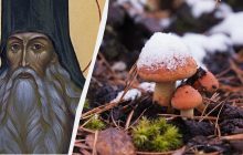 Что можно и что нельзя делать 15 ноября: о чем молятся сегодня