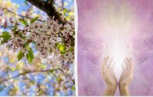 Ваш особистий святий покровитель та ікона заступниця: список для народжених навесні