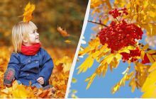 Что можно и что нельзя делать 16 ноября 2024: обряд для здоровья от наших предков