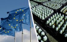 ЄС вперше в історії ухвалив рішення про спільні закупівлі зброї: що отримає Україна