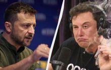 "Отличное чувство юмора": Маск опубликовал провокационный твит о Зеленском