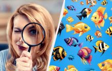 Треба мати високий IQ, щоб знайти дивну рибу за 9 секунд: надскладна головоломка