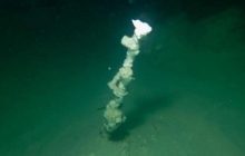 У Мертвому морі виявили вражаючі соляні "димоходи"