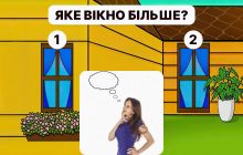 Яке вікно більше: треба мати високий IQ, щоб дати правильну відповідь за 5 секунд